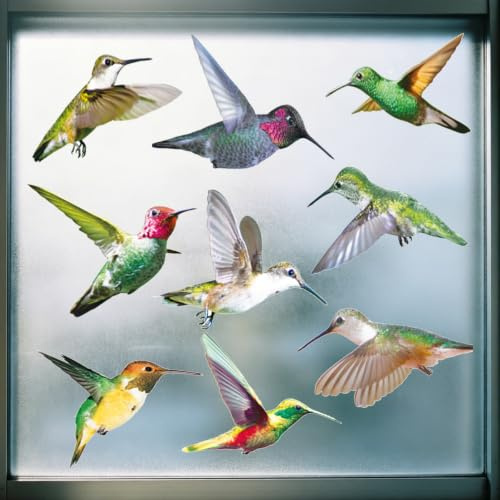 9 Stück Kolibri Aufkleber, Anti Kollisions Fensteraufkleber, Leuchtende Farben, Fenstersticker Vögel, für Fenster, Wohnzimmer, Büro Für Schutz Vor Vogelschlag