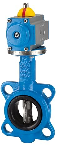 RIEGLER 103675-350.5050B - Valvola a farfalla intermittente, attuatore semplice, DN 50, 1 pezzo