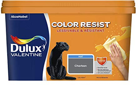 Dulux Valentine Color Resist Pièces à Vivre - Peinture Intérieure Murs, Plafonds, Boiseries - Lessivable et Résistante - Couleur : Charbon - 2,5 L - 5351576