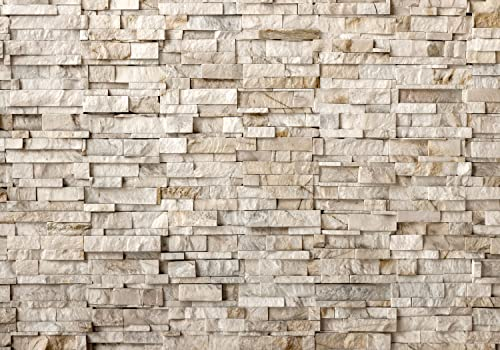 decomonkey Fototapete Steinwand 350x256 cm Tapete Fototapeten Vlies Tapeten Vliestapete Wandtapete moderne Wand Wandbild Schlafzimmer Wohnzimmer Deko Stein Mauer Ziegel Steinoptik beige braun