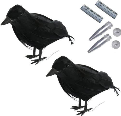 2 x Rabe mit Nano Vogel wasserdicht +Logstr. Geocaching Versteck Wald Tier Micro