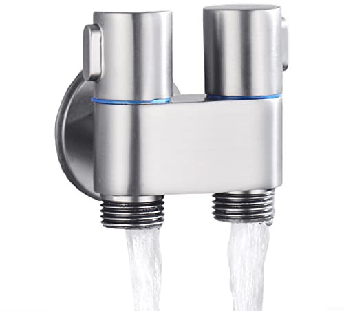 Grifo de interruptor giratorio con salidas dobles para bidé de inodoro y calentador de agua (plata)