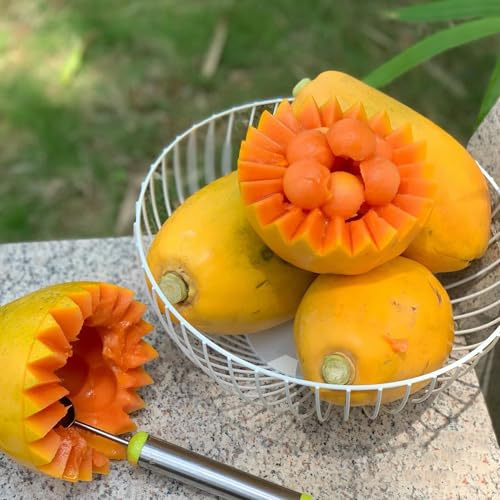 semi di papaya - rare perenni resistenti in vaso biologici 100pcs