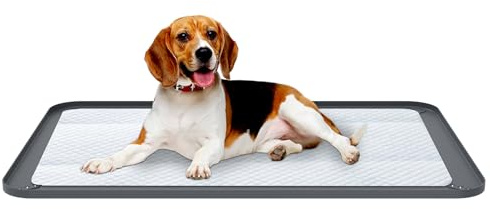 Pee Pad Holder, 62x42CM Silicone Puppy Pad Holder, Leak-proof Mat with 1.5CM Raised Edge, Non-Slip Puppy Potty Training Tray, Washable Floor Protector for Small Medium Dogs (62x42CM)