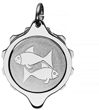 SOS Talisman Anhänger Edelstahl, Sternzeichen, Notfallkapsel für wichtige medizinische Informationen (Fische)