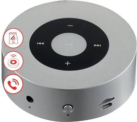 KAMINIO Knastrande högtalare MORITZ - Kraftfull ljudlåda med eldstadsljud, Bluetooth, AUX, mikrofon, batteri - Silver