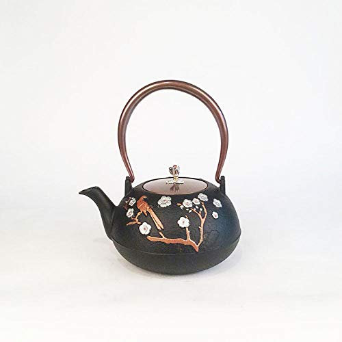 Théière Japonaise en Fonte, Grande Bouilloire électrique, décoration de Salon de thé, pour Amis, Famille, Amoureux du thé, 1 200 ML