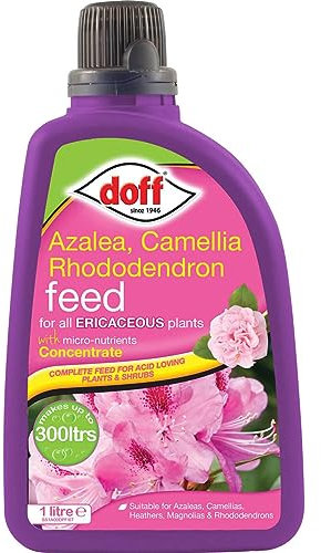 Doff 1L Ericaceous Plant Feed