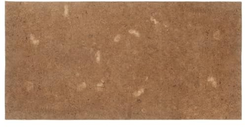 vidaXL Estera para colchón de Fibra de Coco 100x200 cm