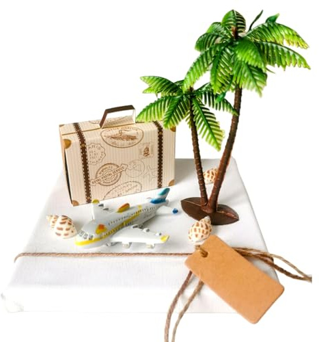 Geschenk Reise Flugreise für Geld oder Gutschein (Geschenk)