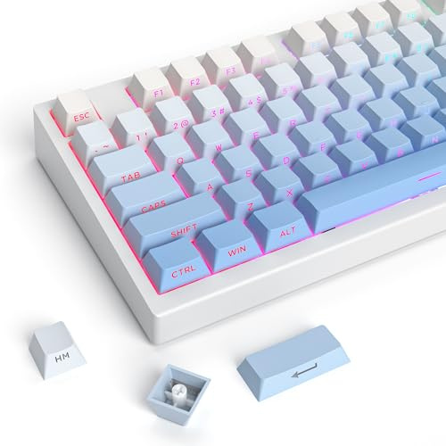 iTastatur PBT Keycaps-Side Printed Keycap Set, Double Shot Custom Keycaps, Minimalist Blue Cherry Profile 135 Keys, for ANSI US Layout 60% 65% 95% Mechanical Keyboard(Gradual Blue)