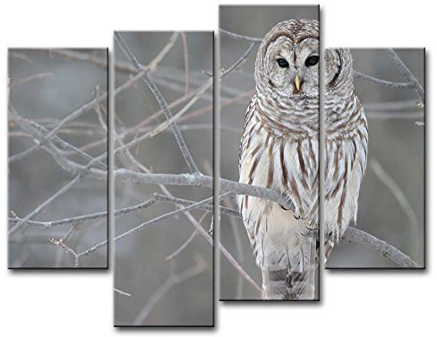 Owl Wall Art Painting White Owl in The Tree Prints On Canvas The Picture Animal Pictures Oil for Home Modern Decoration Print Décor
