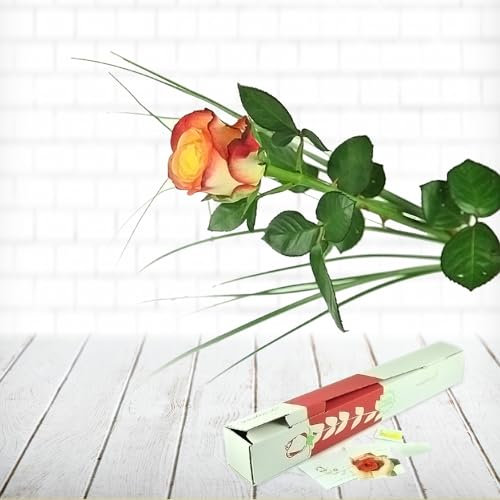 Einzelne gelb-rote Rose - Mit Gräsern dekoriert - Inklusive gratis Grußkarte