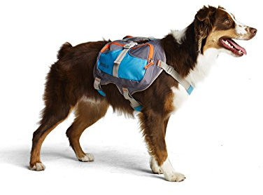 Cesar Millan Dog Backpack (Small)
