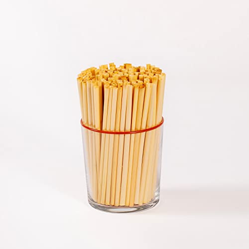 SustainaBuddies Eco-Friendly Biodegradable Wheat Cocktail Straws, Tasteless & Organic Drinking Straws Made from Gluten-Free Material - Better Than Plastic Straws - 2400 x 13cm