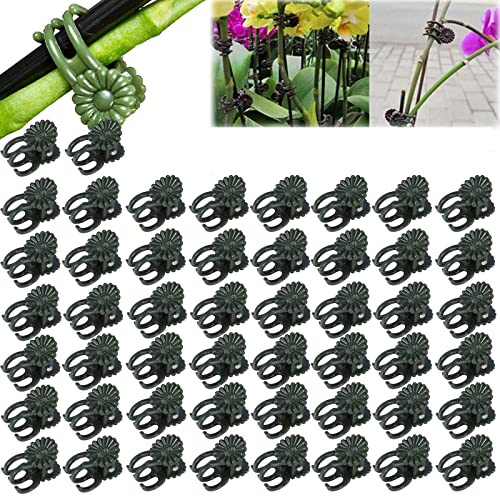 50/100 Pflanzenclips Mini, Rankhilfen Für Kletterpflanzen Pflanzenklammern,Stück Befestigungsclips Für Pflanzen,garten Pflanzenclips Pflanzenstützclips,pflanzen Wandhalterung,Flower Clips Garden