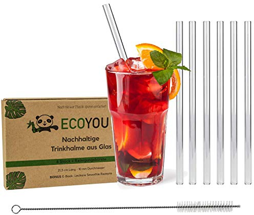 EcoYou® Glas Strohhalme 6er Set + Reinigungsbürste & Smoothie Rezepte Plastikfreie Trinkhalme 21,5 cm wiederverwendbar Zero Waste Mehrweg Straw