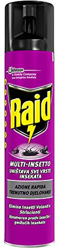 Raid Spray Multinsetto, Insetticida Spray, 1 Confezione da 300 ml