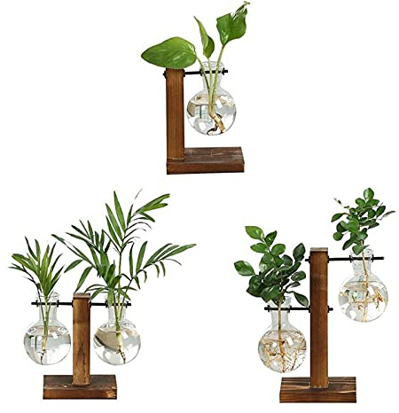 3 Vasen, Pflanzenständer Glasvase Hydroponische Vase, Luftpflanzenterrarium mit Retro-Holzständer, für Home Office Garden Wedding Decor,