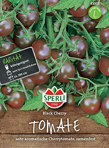 Sperli 83303 Tomate Black Cherry, dunkelrote Liebhabersorte mit sehr aromatischem Geschmack, sehr ertragreich