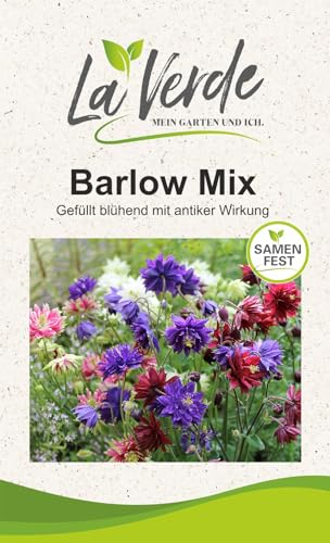 Akelei Barlow Mix Blumensamen