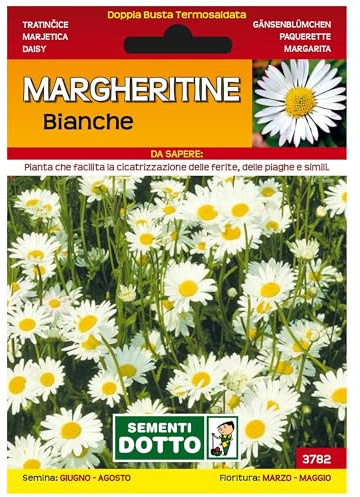 Sicignano | Semi Margheritine Bianche, Pianta Erbacea Perenne da Giardino, Busta Extra - 4 Confezioni da 0.21g, Fiori per Prati, Fioritura da Marzo a Maggio