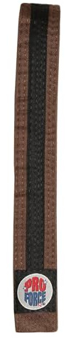 Black Stripe Martial Arts Karate Taekwondo judo Belt (brown, 2- child large)