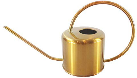 CANDeal Annaffiatoio in Metallo da 1,3 l, in Acciaio Inox Vintage, con Manico Alto e beccuccio Lungo Sottile, Bottiglia per irrigazione Vaso da Giardino