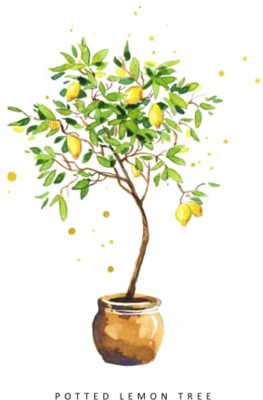 Potted lemon tree Notebook: Notebook, Journal, Planner, Logbook, Daily Notes, 8.5x11 Wide Ruled Lined 110 Pages, Perfect for Women, Girls, Teens, Ladies, Bosses, Mentors and Friends