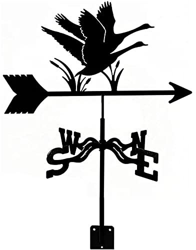 Girouette en métal pour Toit extérieur, Jardin, décoration de Cour, girouette, Oiseaux rétro, indicateur de Direction du Vent pour Toit extérieur, Cour de Ferme