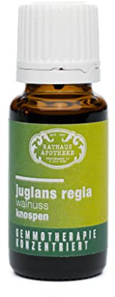 RATHAUS APOTHEKE WIEN Concentrated Bud Extract - Gemmotherapy - Juglans Regia - The Walnut Tree - 15 ml