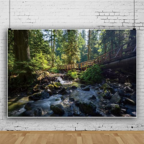 Ttincceer 300x200cm 3D Forests Backdrop Spring Summer Tropical RainForests Natural Landscape Photography Background Stream Stone Giant Tree Background Adult Children Travel Backgrounds