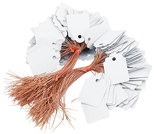 Gavigain 200PCS Pianta Appendere Tag, PVC Appeso Fiore pianta Seme Tag Nome, Appendere Tag di marcatura per la pianta, Giardino segni marcatori Giardino per Le Piante all'aperto (Bianco)