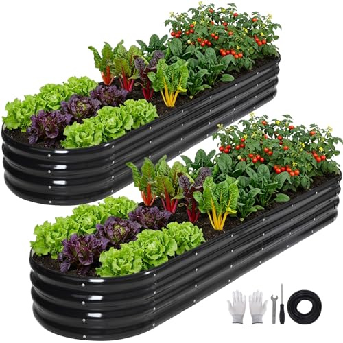 INNO STAGE Galvanized Raised Garden Bed, 244 x 60 x 30cm Large Metal Planter Boxes Outdoor for Growing Vegetables, Herbs, Flowers Steel Plant Raised Garden Bed Kit-Grey 2Pack