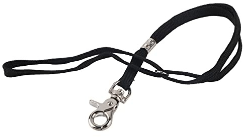 No sit fisso cane gatto toelettatura anello stabile 2 tipi cane gatto toelettatura tavolo braccio supporto cappio fascia di ritenuta cappio cane gatto toelettatura bagno(Big buckle round buckle)