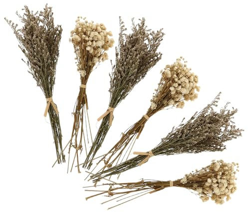 PRETYZOOM 6 Stück Zarter Trockenblumensträuße aus Gras Schleierkraut Dekoration für Geburtstagsfeiern und Outdoor Aktivitäten Haltbar Zufällige Farbe