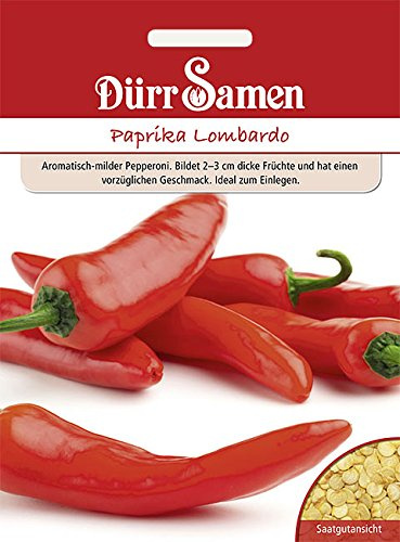 Dürr-Samen - Paprika Lombardo Saatgut