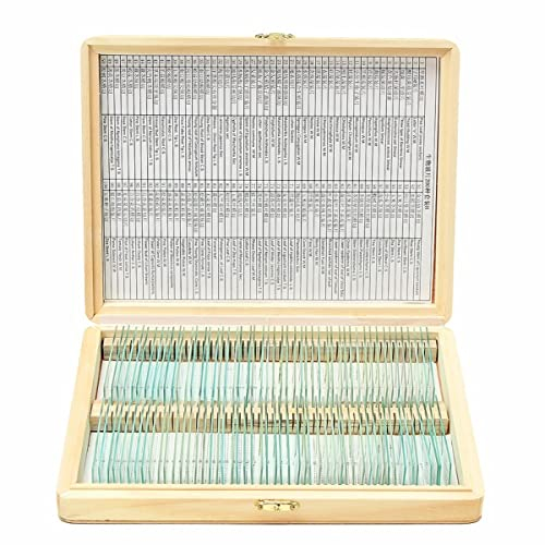 JUIYU Mikroskop-Zubehör-Kit 200. Stck Vorbereitete biologische Grundwissenschaftsmikroskopglasglas Mikroskopische Objektträger