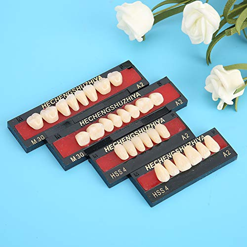 Materiale Dentale Resina Sintetica FALSO Strumento per la Cura dei Denti per Protesi per Otturazione dei Denti per Dentisti, Estetica Migliorata e Durata Migliorata, Nuovo