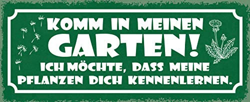 AGDeko® Holzschild 27x10 cm komm in meinen Garten ich möchte