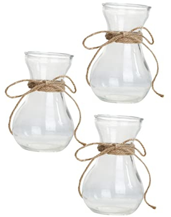 KITANDOVE 3 Pièces Vase en Jacinthe Bouteille de Composition Terrarium végétal Plantes d'intérieur Plantes Interieur Bouteille de Stockage de Fleurs en Verre Vase décoratif Un Verre
