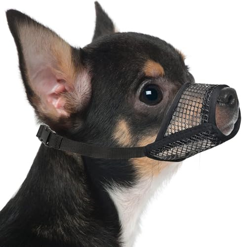 Mayerzon Muselière en Maille Souple Respirante pour Chiens de Petite, Moyenne et Grande Taille, Chihuahua, Caniche, Husky, Labrador, Retriever, pour Le toilettage et la Mastication