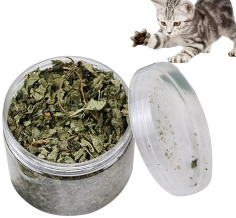Pcingsia Natürliche Katzenminze, 40 g, natürliche Blätter, Katzenminze, Leckerli für die Zahnreinigung, beruhigende natürliche Blätter, Katzenminze, entspannende echte natürliche Katzenminze, gesunde