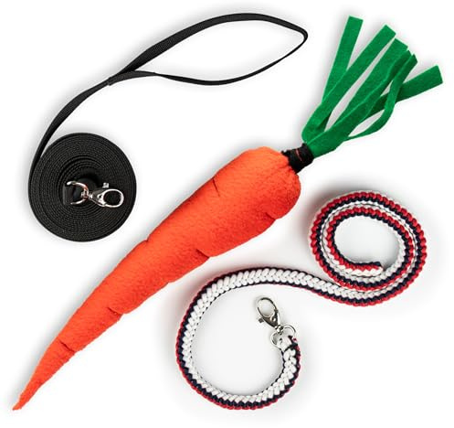 SKIPPI Longe, Führstrick und Karotte, Hobby Horse Zubehör, Trainingsset 3 w 1