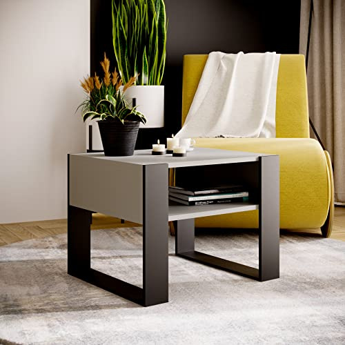 MRBLS_HOME MRBLS Couchtisch – modernes rustikales Design – Wohnzimmer-Tisch Beistelltisch Kaffeetisch Sofatisch Teetisch aus Holz (Grau Matt - Schwarz Matt) - 65 x 45 x 53,6cm (B/H/T)