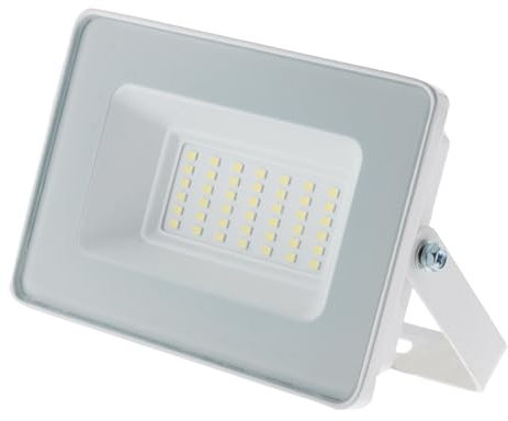 Zenitech Projecteur LED de chantier étanche - 30W 3000lm IP65 6500K - Blanc