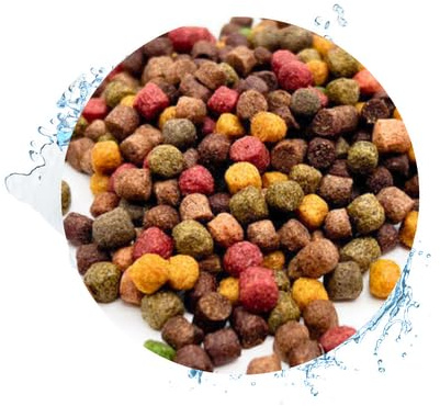 Warnick's Fischfutter Koifutter 8-Sorten-Mix 6 mm - 15 Liter | Fischfutter für Koi & Zierfische - Schwimmfähig & gut verdaulich - Farbverstärkend mit Spirulina