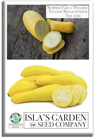 Early Prolific Straightneck Squash Seeds – 50+ Non-GMO & Heirloom Vegetable Seeds, Cucurbita Pepo, Fast Growing Yellow Summer Squash, High Yield for Containers & Gardens, Gift Idea by Isla’s Garden