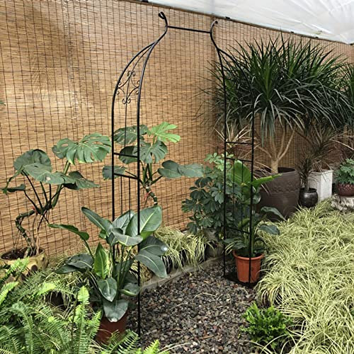 Einzigartiges Bogenförmiges Klettergerüst, Gartenständer Aus Hochwertigem Eisen, Vielseitig Einsetzbar, Schwarz/weiß, Geeignet For Clematis, Zwiebelorchideen, Lingonien Und Andere Kletterpflanzen. ( C