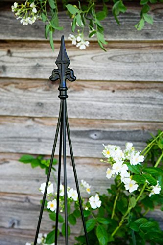 KUHEIGA Rankgerüst Rankhilfe aus Metall H: 145cm, Breite variabel Schwarz Eisen